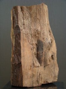 A block of wood 