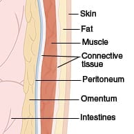 Diagram of layers of skin