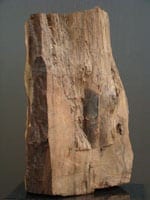 Women Body Wood Sculpture | Ronald M. Friedman