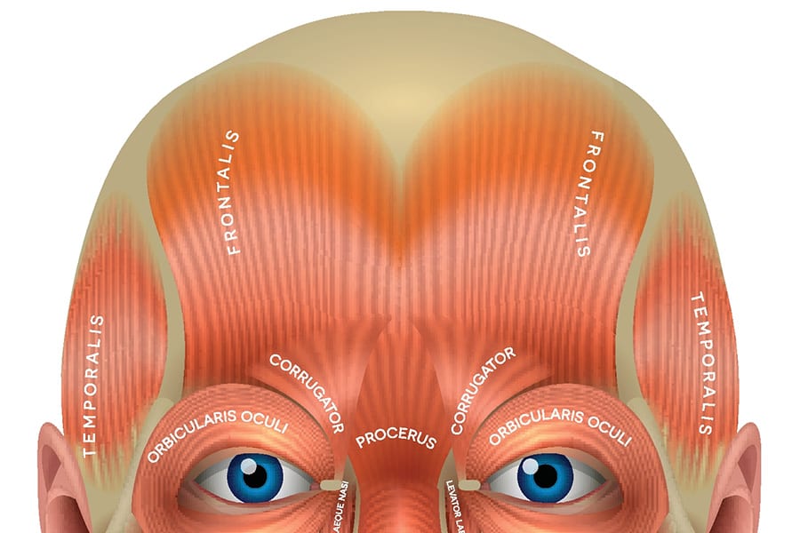 Botox Illustration